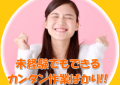 未経験カンタン作業 女性 未経験カンタン作業 女性