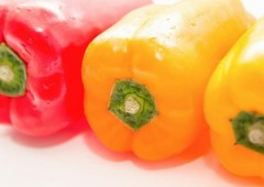 野菜・くだもの (8) 野菜・くだもの (8)