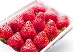 野菜・くだもの (5)