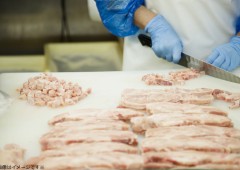 精肉加工 包丁 精肉加工 包丁