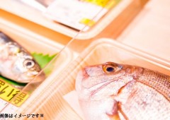 魚 (4)