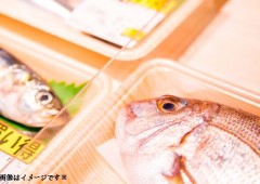 魚 (4) 魚 (4)