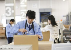 梱包 男性 段ボール (1) 梱包 男性 段ボール (1)